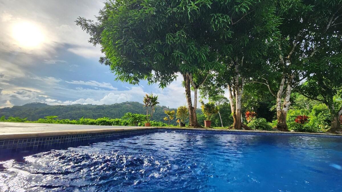 Lovely Ocean View From The Cloud Forest