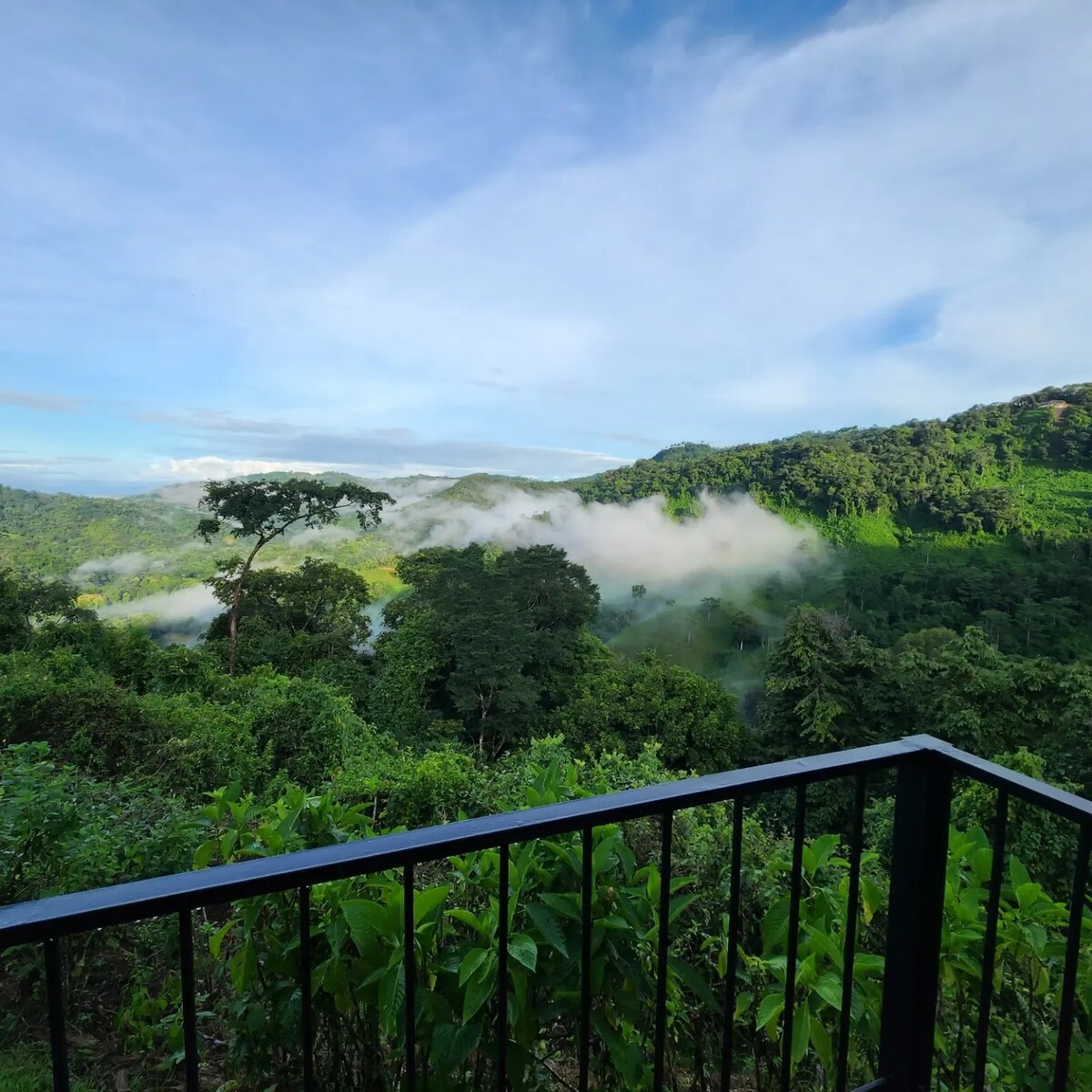 Lovely Ocean View From The Cloud Forest