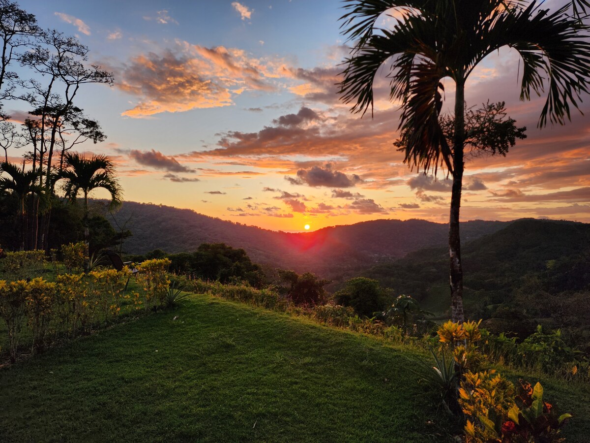 Lovely Ocean View From The Cloud Forest