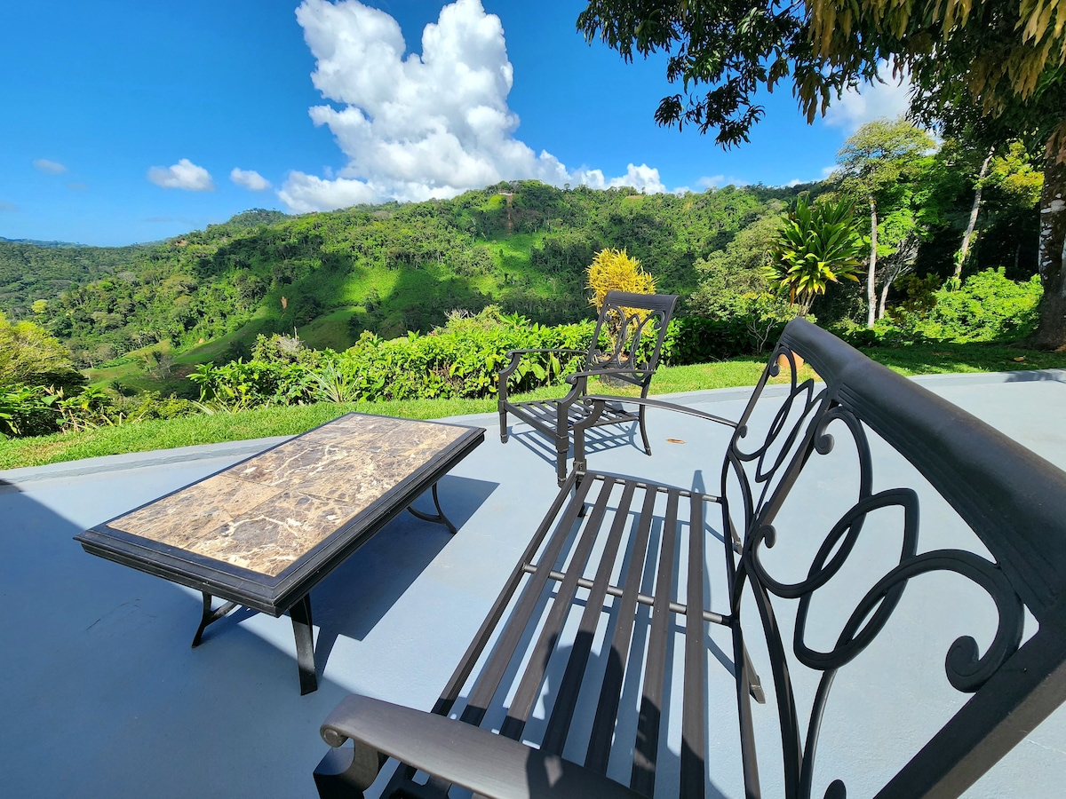 Lovely Ocean View From The Cloud Forest