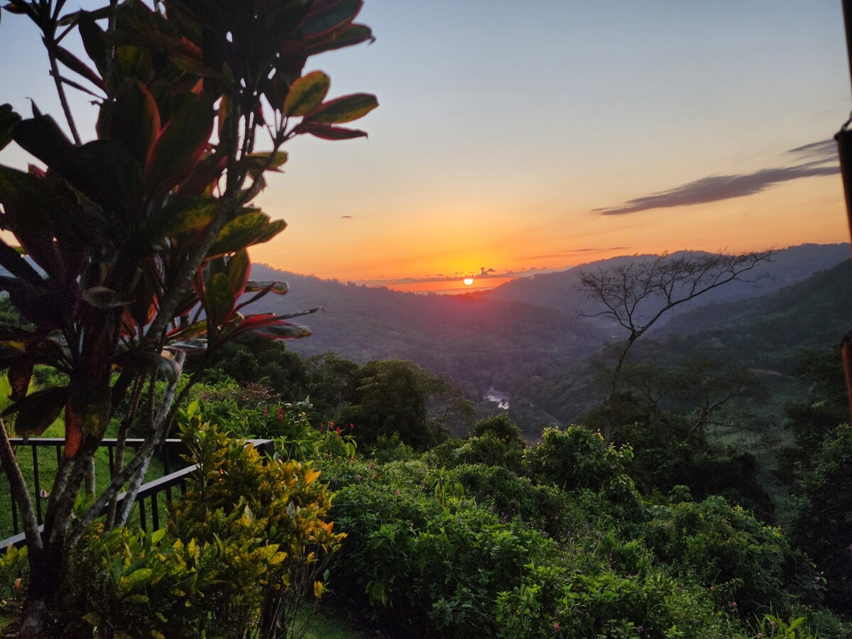 Lovely Ocean View From The Cloud Forest