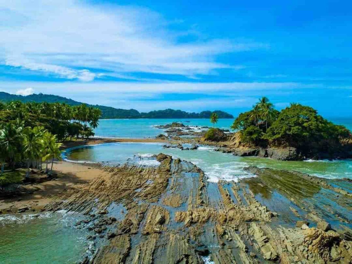 Lovely Ocean View From The Cloud Forest