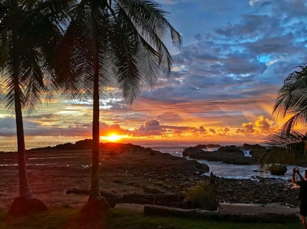 Lovely Ocean View From The Cloud Forest