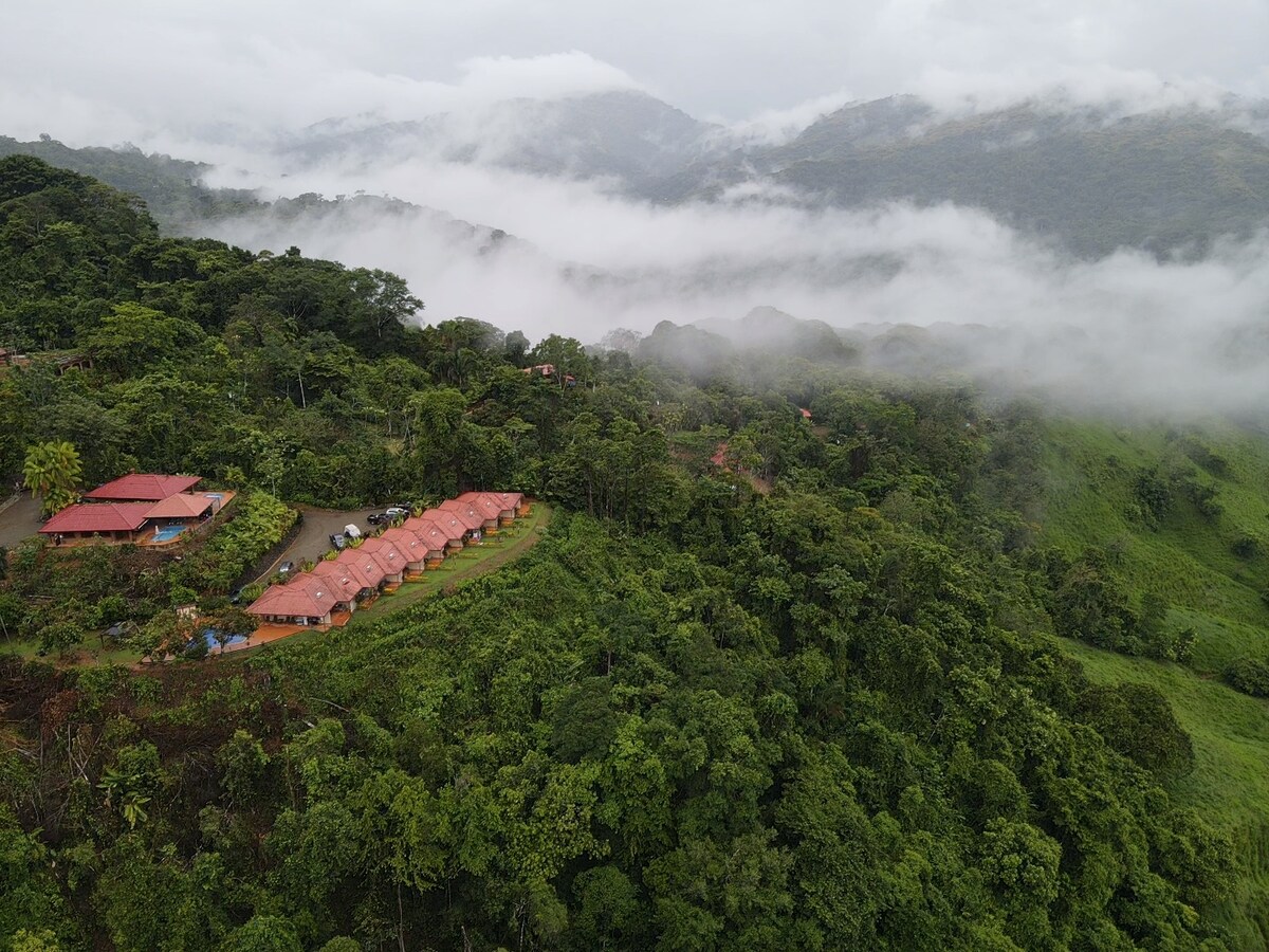 Lovely Ocean View From The Cloud Forest