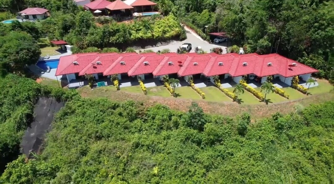 Lovely Ocean View From The Cloud Forest