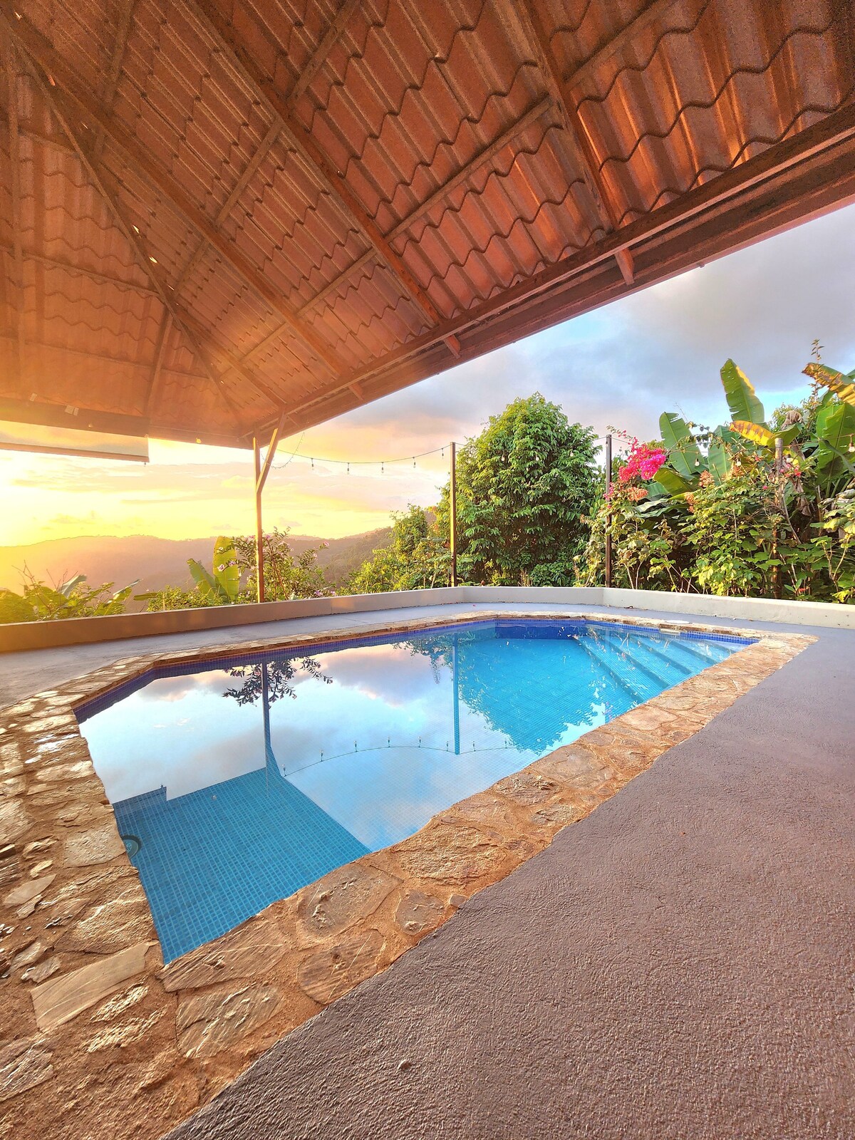 Heavenly Life Jungle House