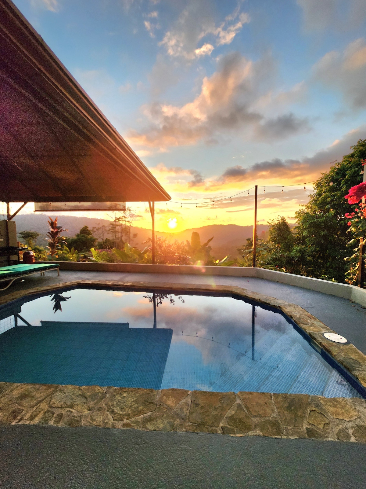 Heavenly Life Jungle House