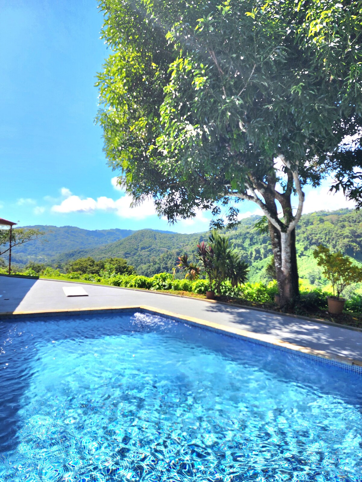 Restorative jungle respite with ocean views