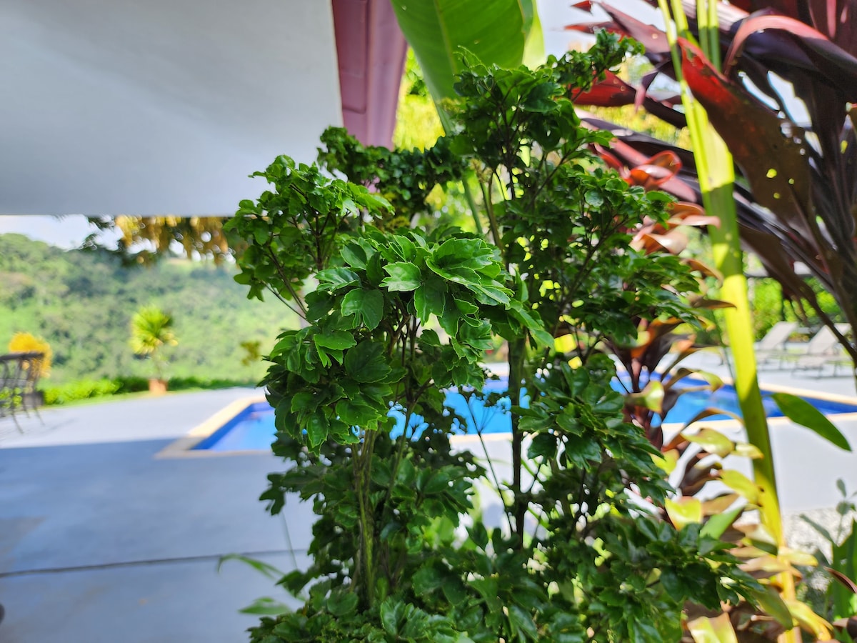 Restorative jungle respite with ocean views