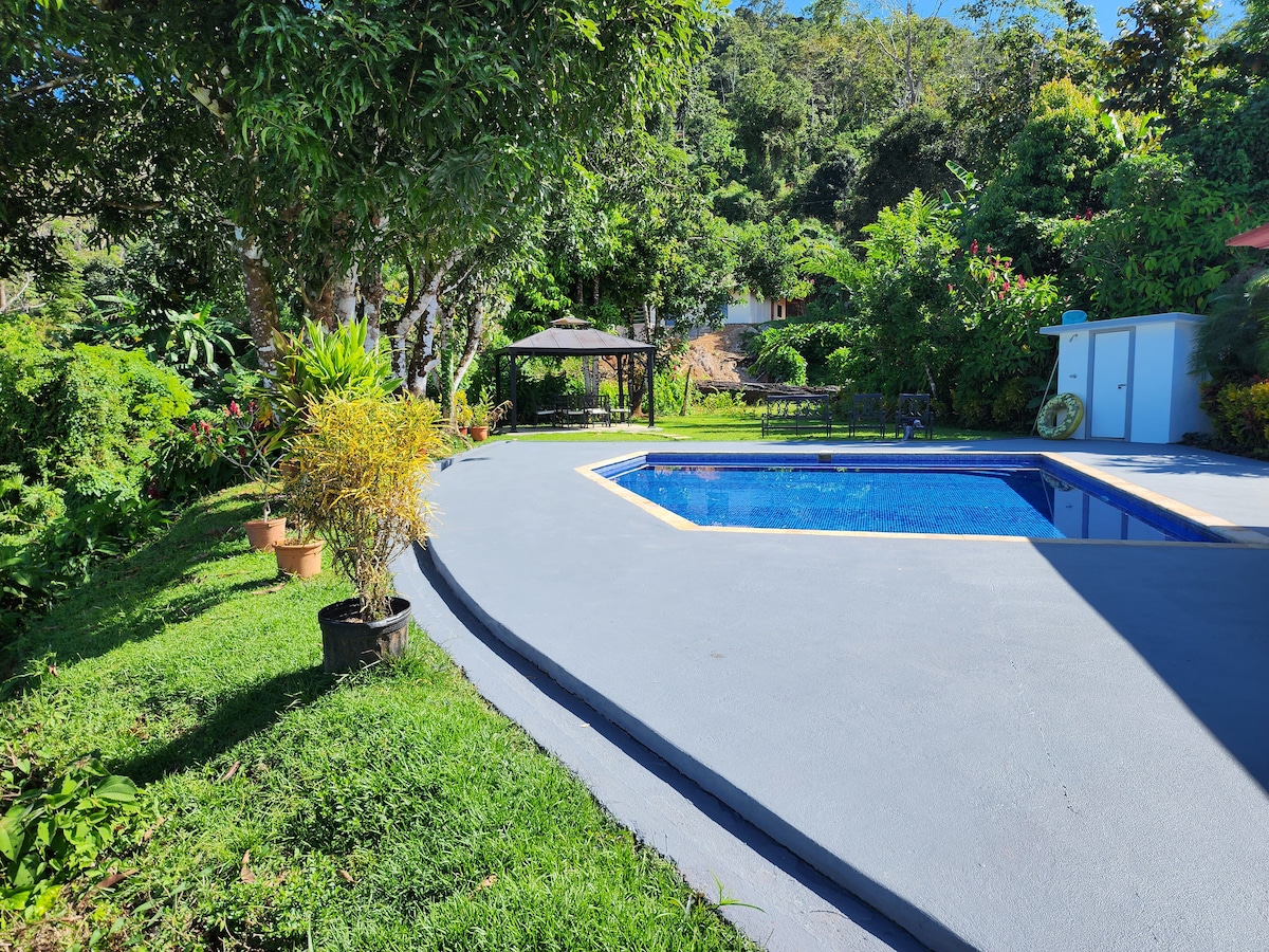 Lovely oasis overlooking the Jungle and sea