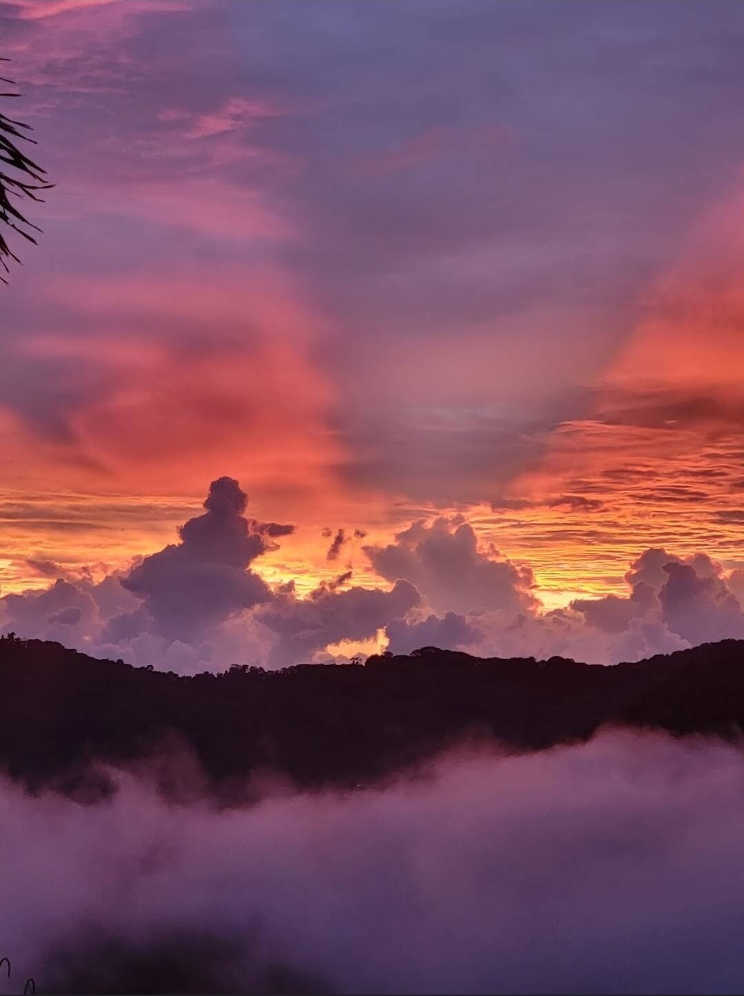 Lovely ocean view in the colorful cloud forest