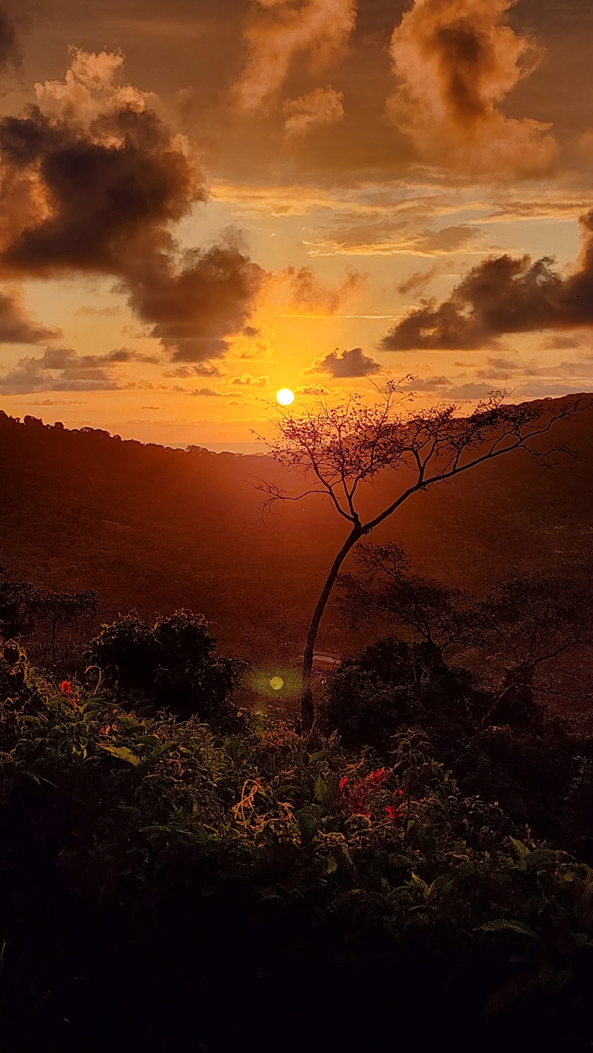 Lovely ocean view in the colorful cloud forest