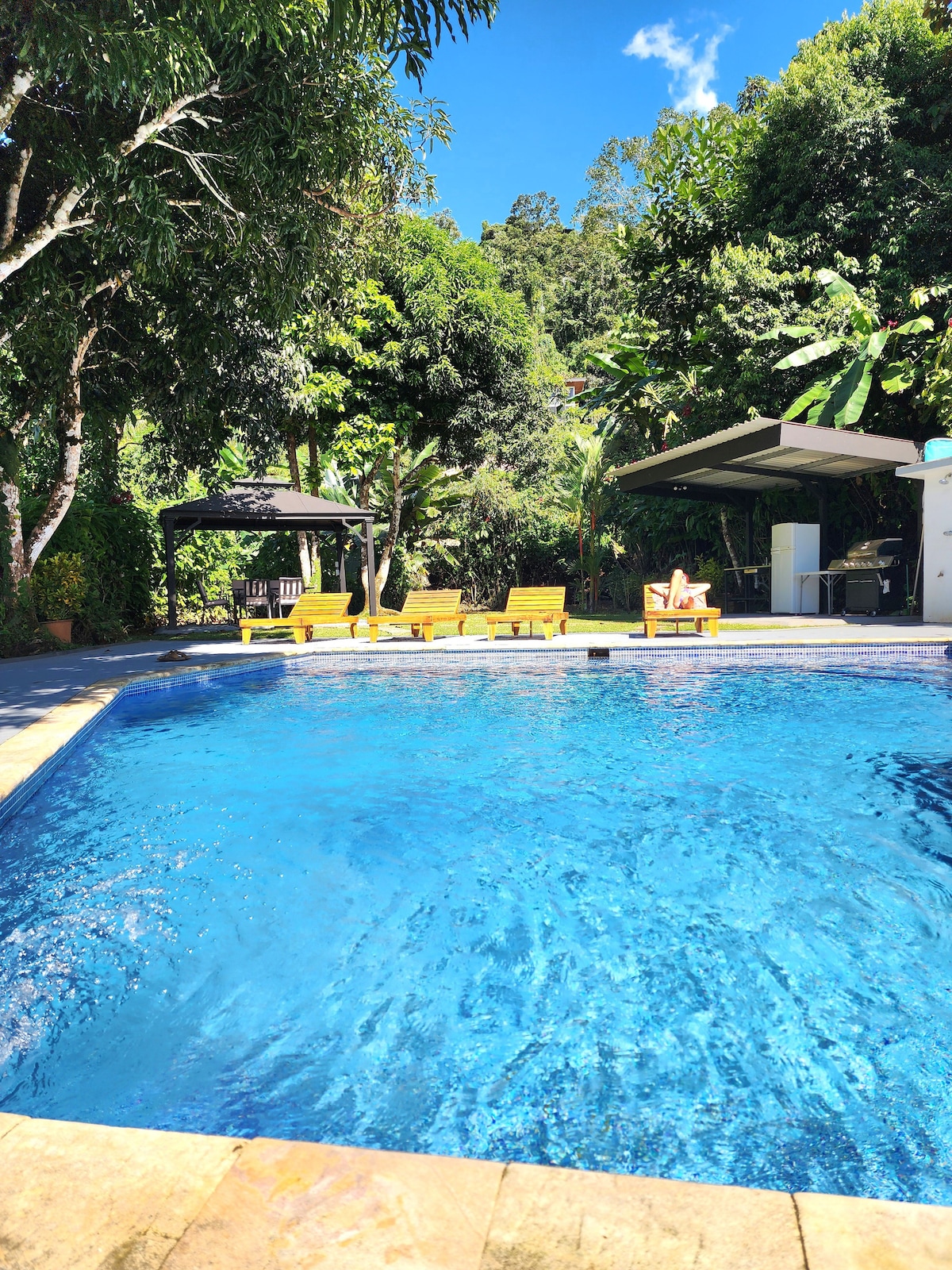 lovely Jungle Stay with Ocean View