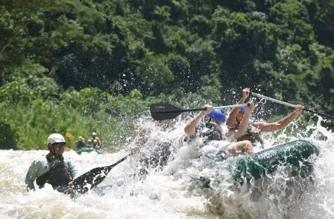lovely Jungle Stay with Ocean View