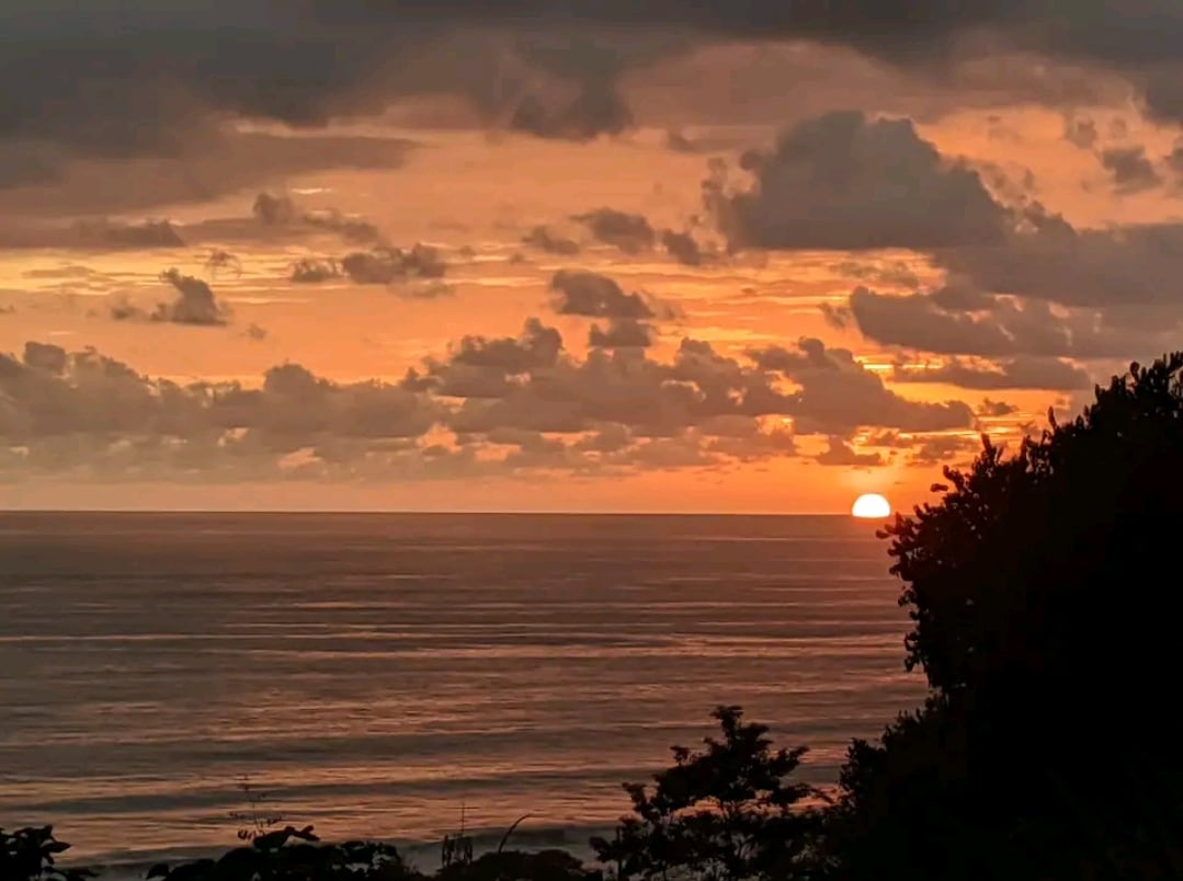 Lovely Ocean view in the Cloud forest jungle