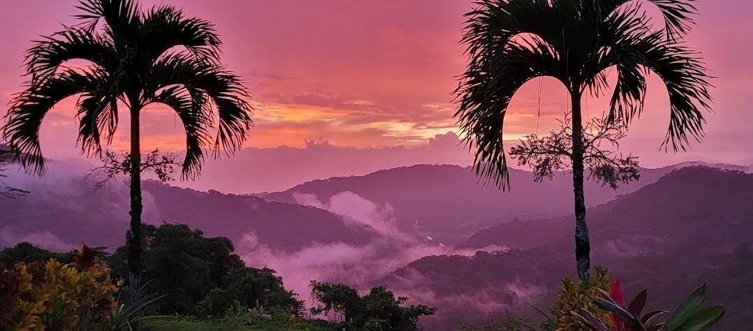 Lovely Ocean view in the Cloud forest jungle