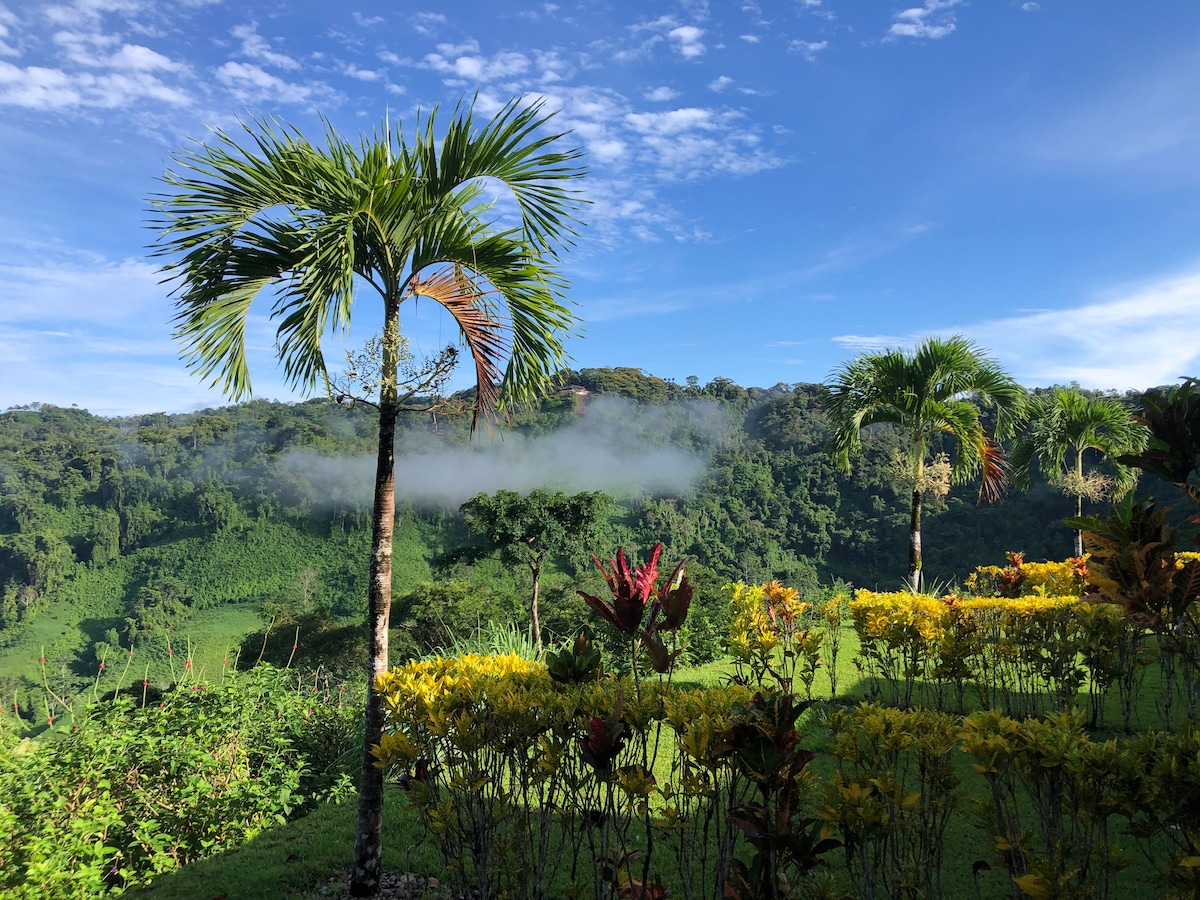 Lovely Jungle Sanctuary W/Ocean View