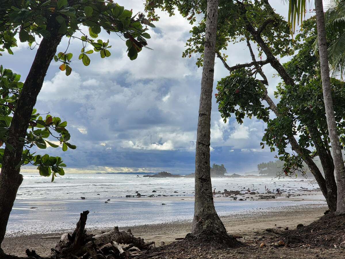 Lovely Jungle Sanctuary W/Ocean View