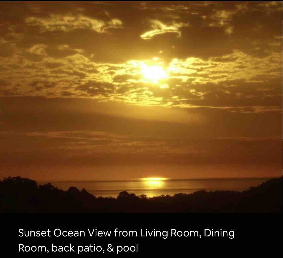 Lovely Jungle Sanctuary W/Ocean View