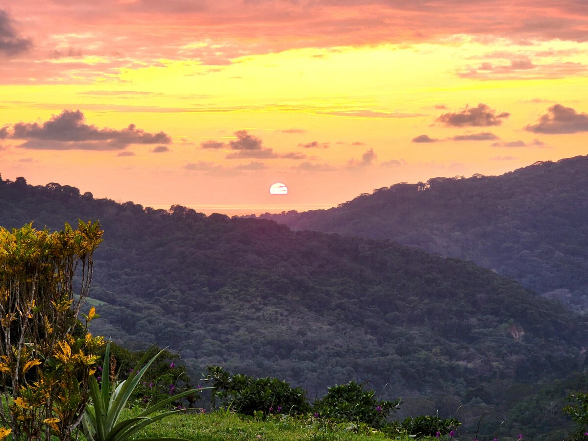 Lovely Jungle Sanctuary W/Ocean View