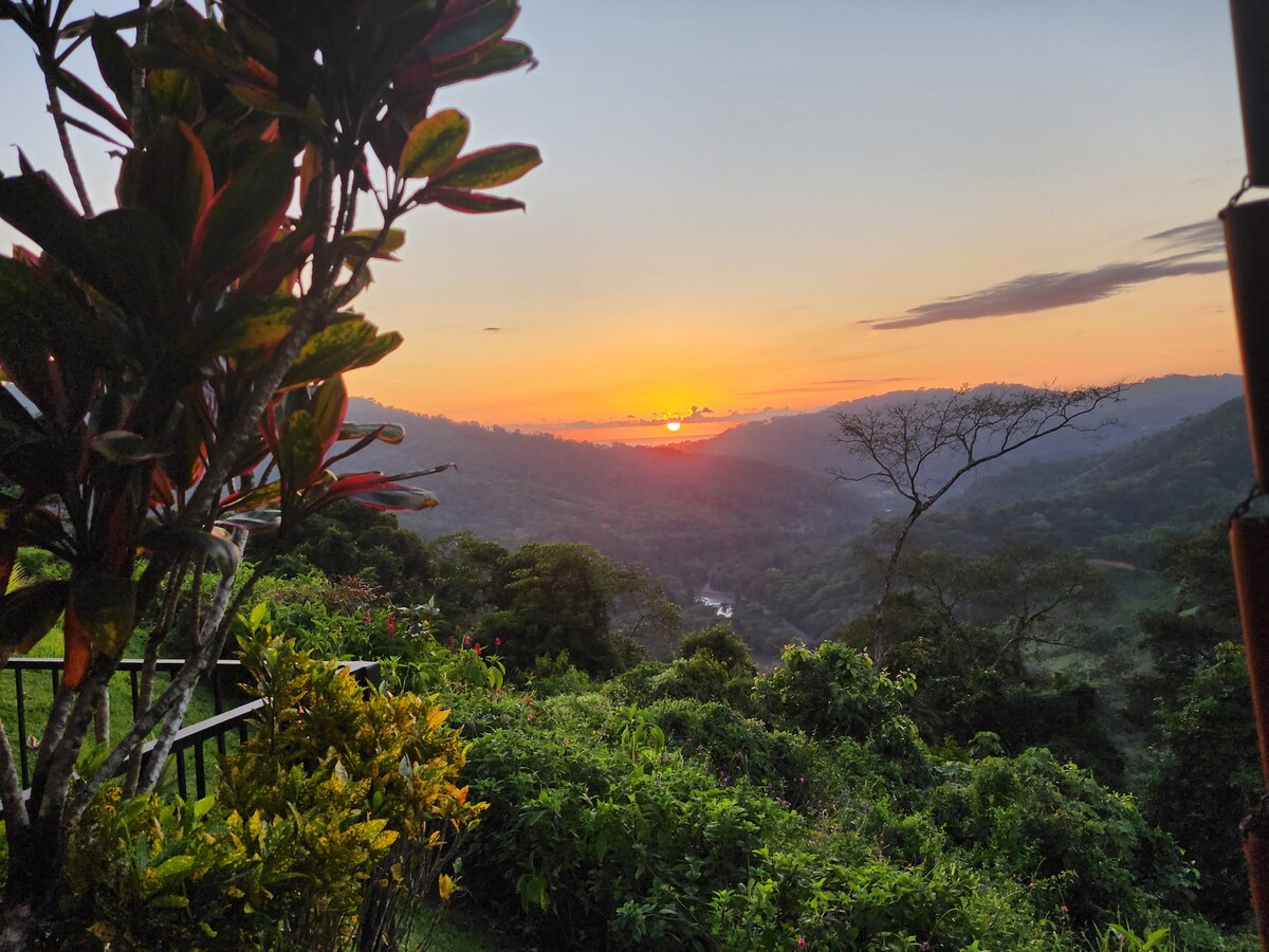 Lovely Jungle Sanctuary W/Ocean View