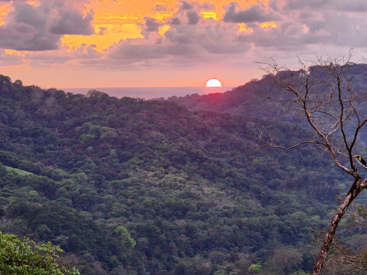 Lovely Jungle Sanctuary W/Ocean View