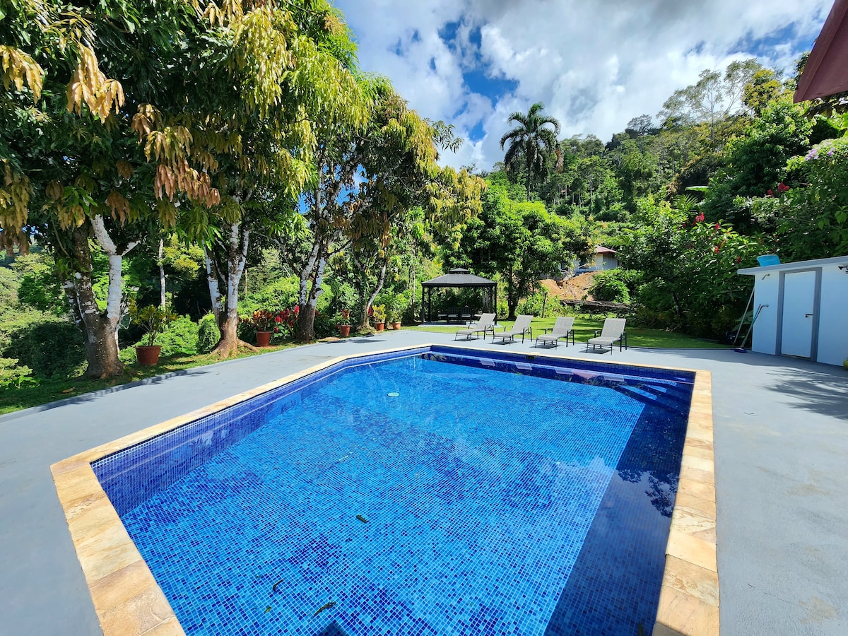 Lovely Rain forest/ocean view in the cloud forest