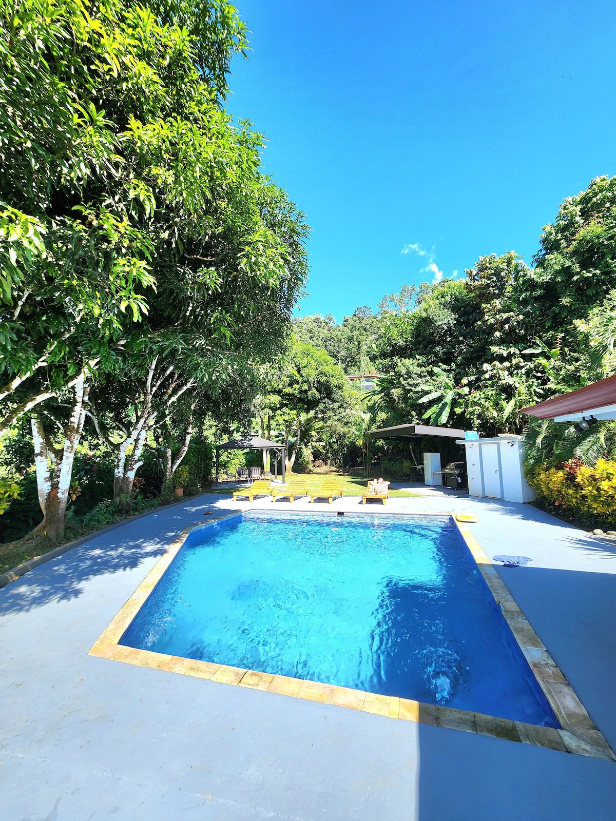 Lovely Rain forest/ocean view in the cloud forest