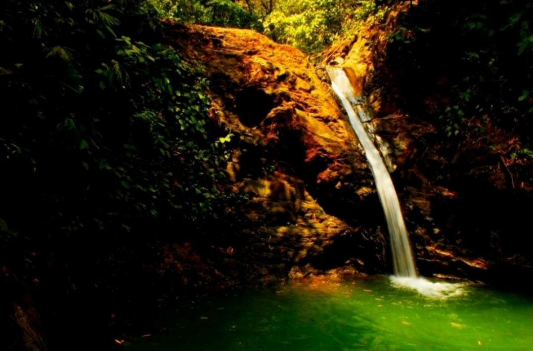 Lovely Rain forest/ocean view in the cloud forest