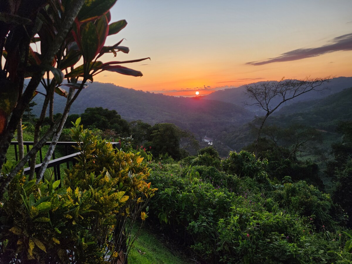 Lovely Rain forest/ocean view in the cloud forest