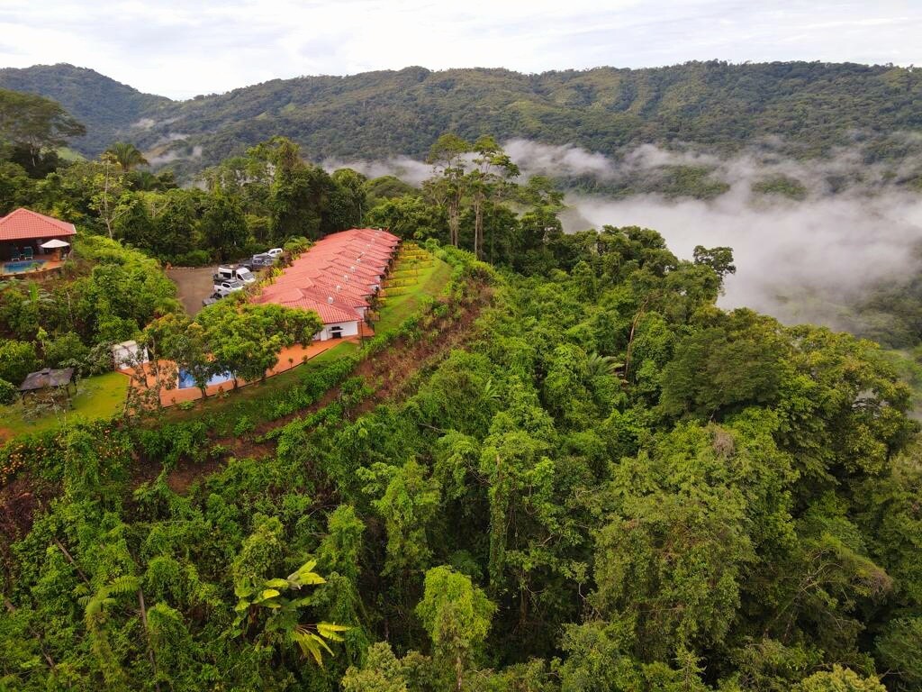 Lovely Jungle Oasis with Ocean views