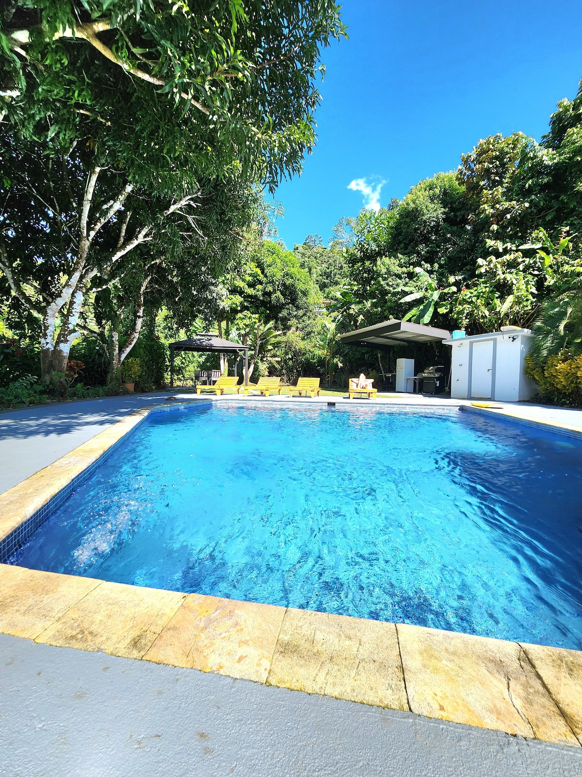 Lovely Jungle Oasis with Ocean views