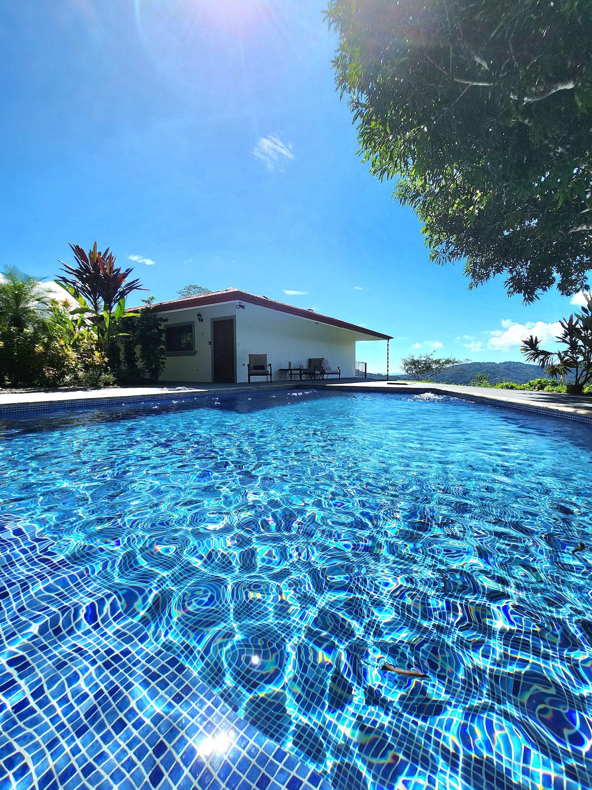 Lovely Cloud Forest Stay with Ocean Views