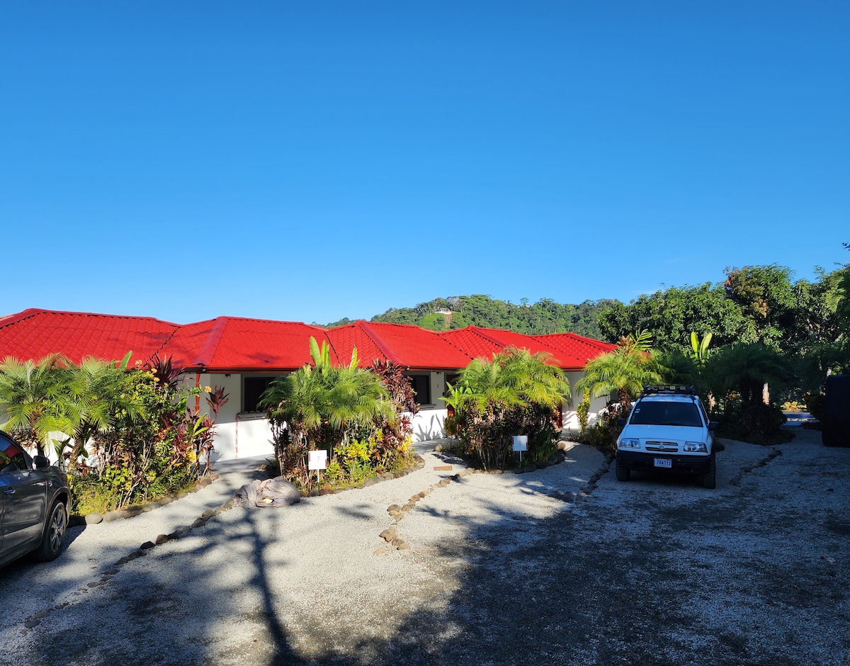 Lovely Cloud Forest Stay with Ocean Views