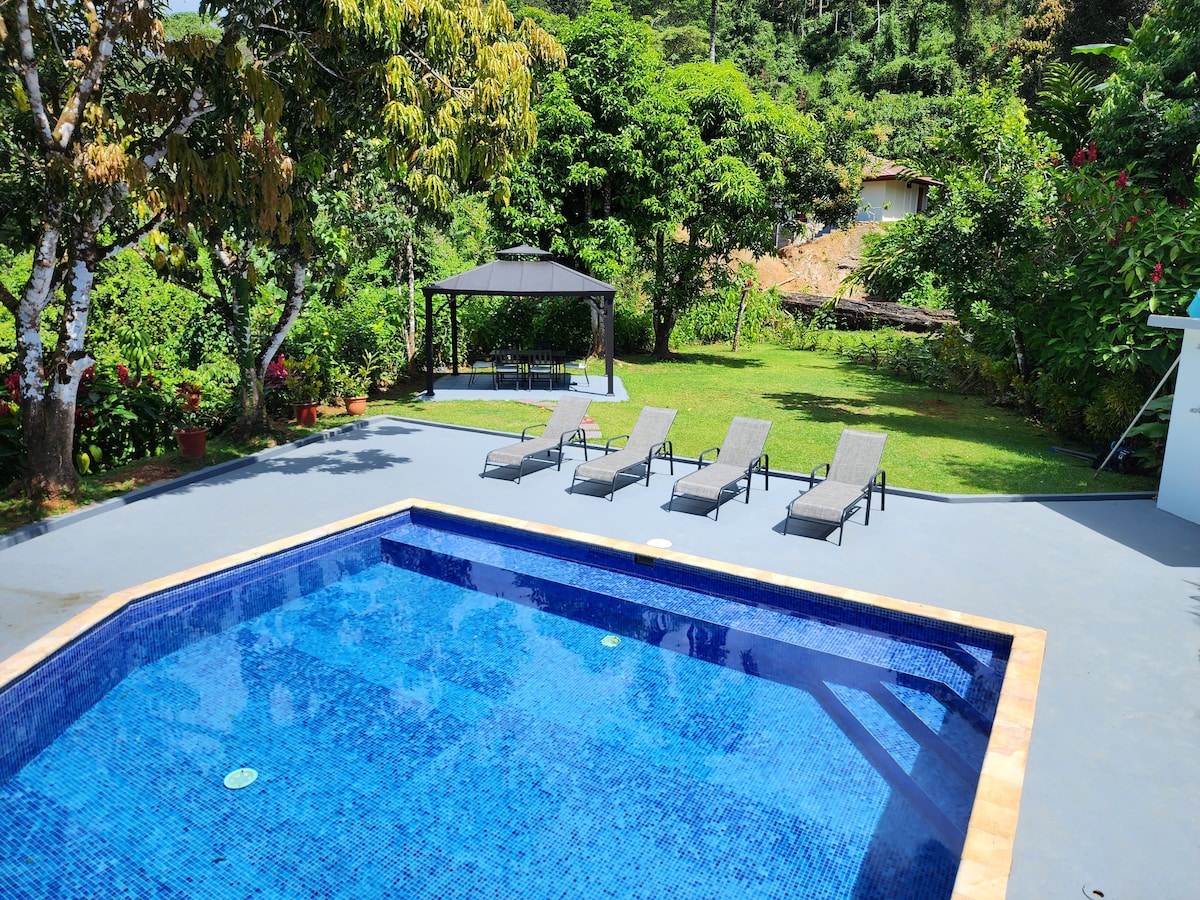 Lovely Cloud Forest Stay with Ocean Views