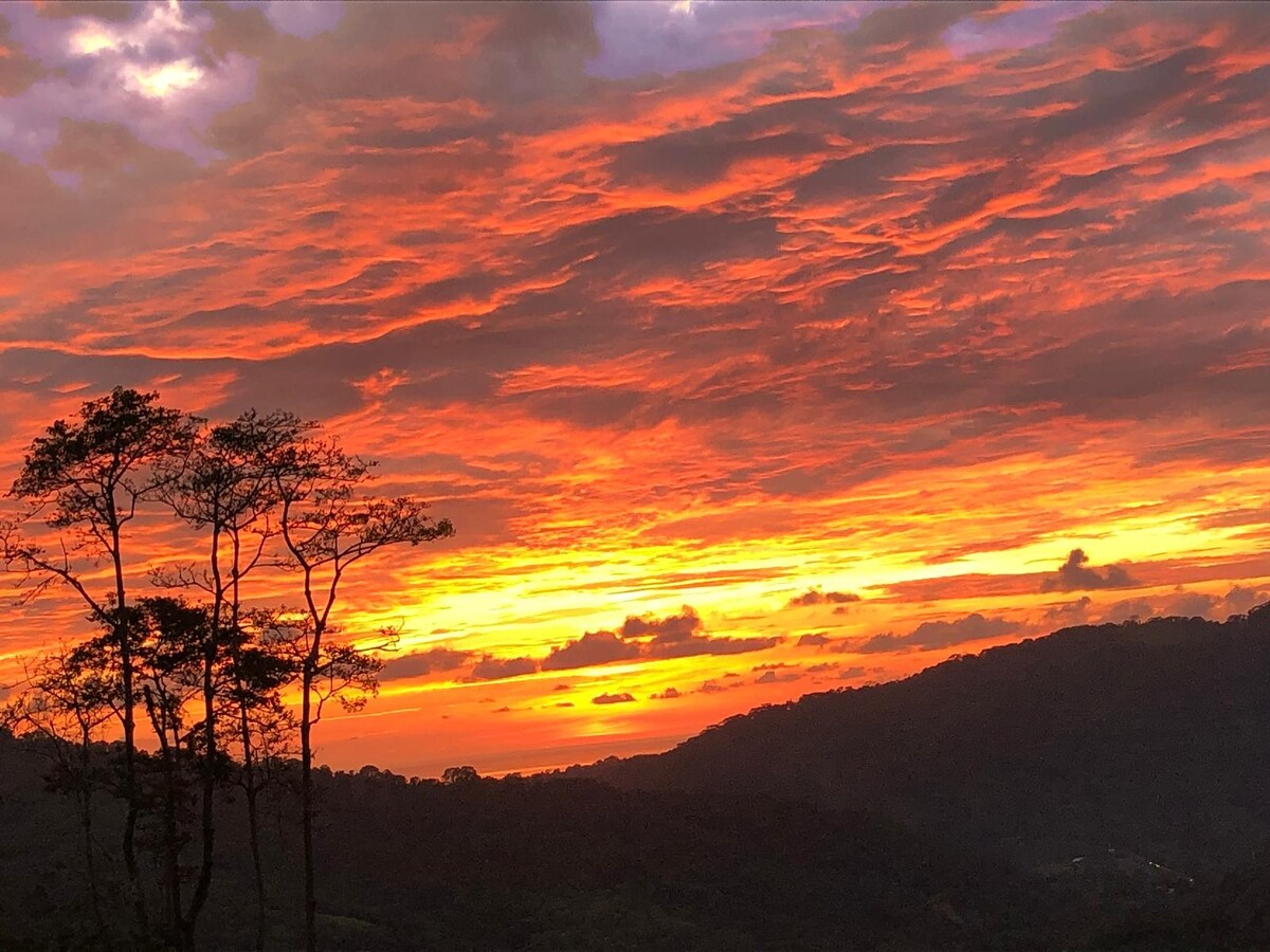 Lovely Cloud Forest Stay with Ocean Views