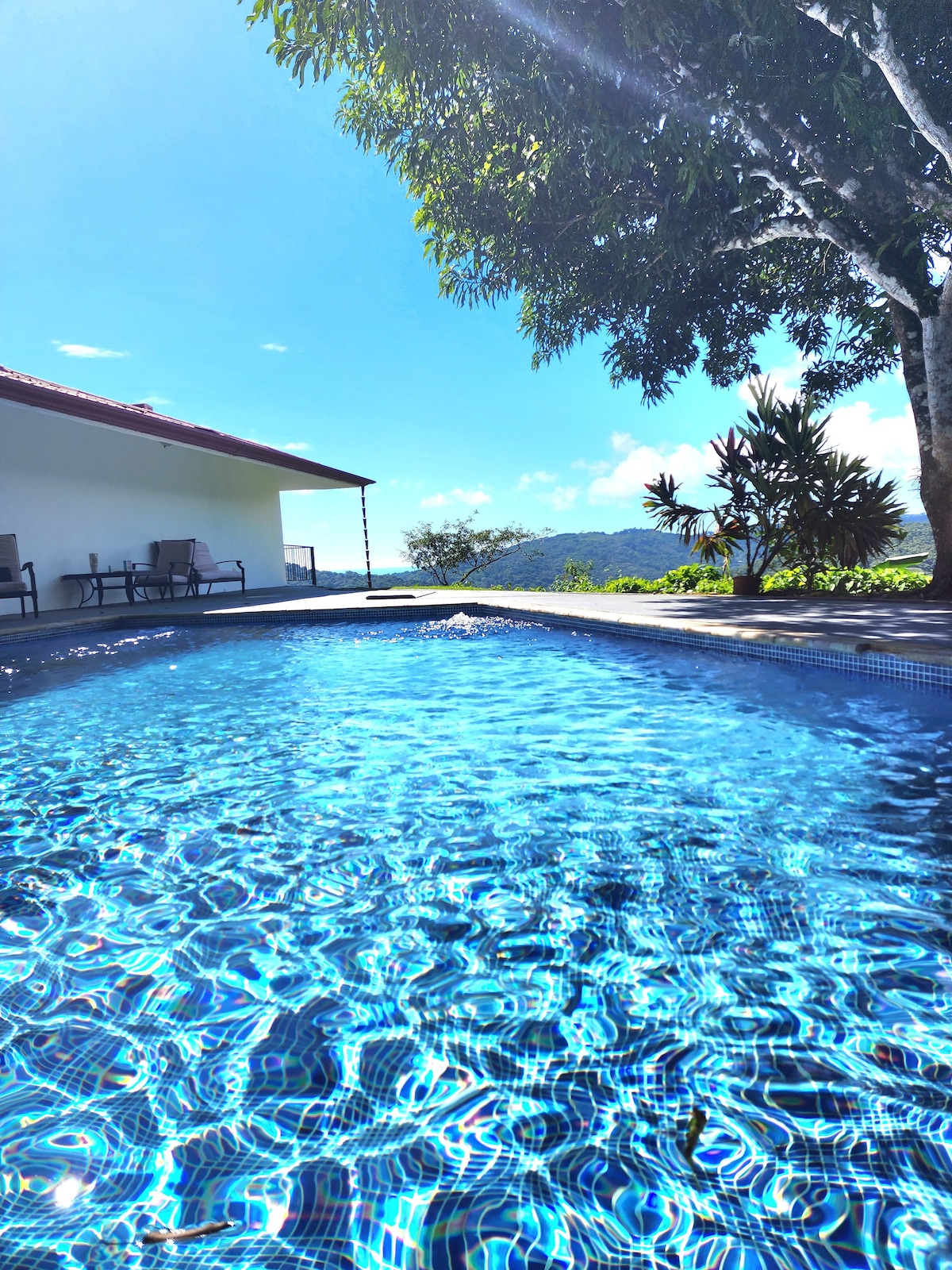 Lovely Cloud Forest Stay with Ocean Views